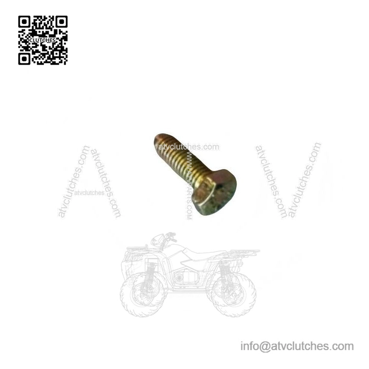 OEM Hex Screw 207161844 for 2001-07 Can-Am DS