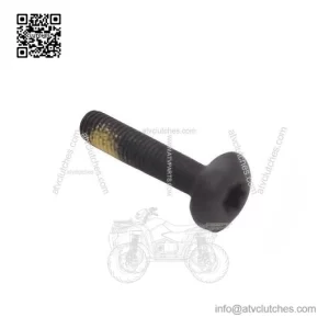 Torx Screw M5x25 250000300