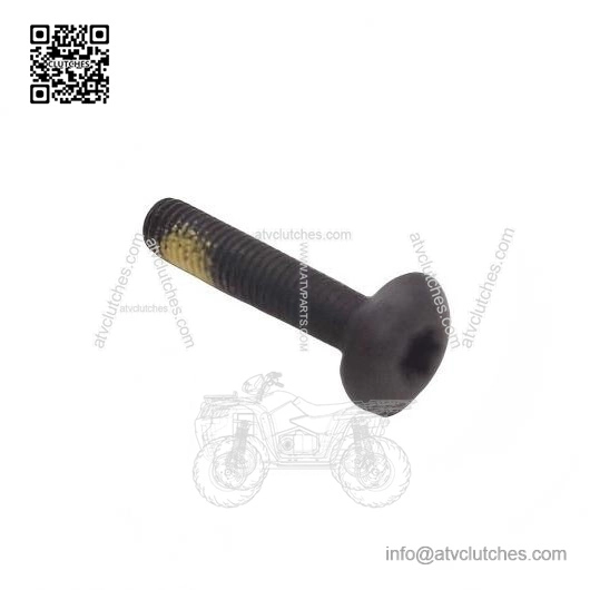 Torx Screw M5x25 250000300