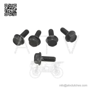 Hex Flange Screws 207661684, P207661684