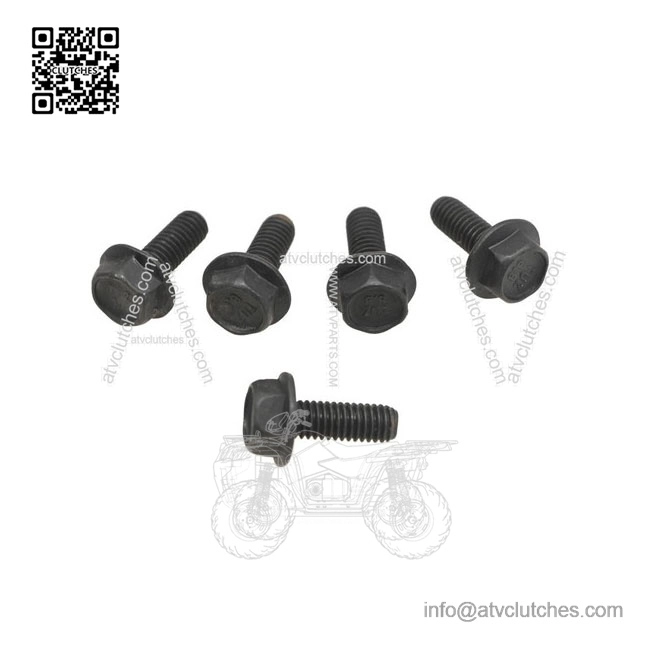 Hex Flange Screws 207661684, P207661684