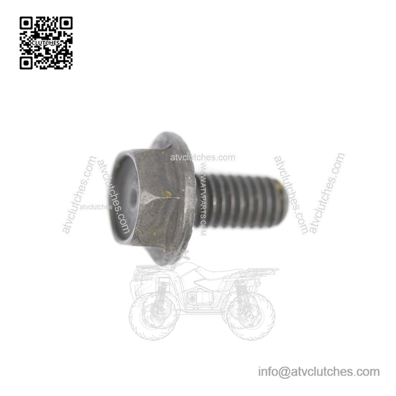 Hex Screw Part Number - 250000073 For Can-Am