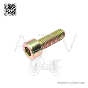 Socket Screw M10x30 205003044