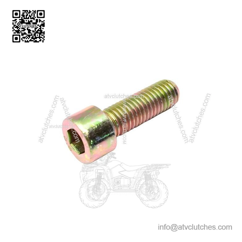 Socket Screw M10x30 205003044