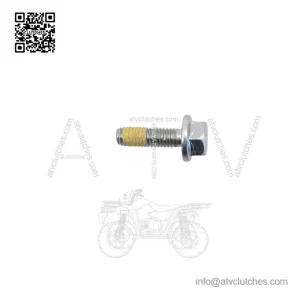 Screw 420441311