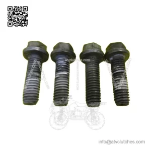 Water Pump Cover Torx Bolts for Ski-Doo MXZ800R / MXZ 800R / 800 R