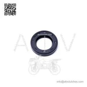 Oil Seal 420250130