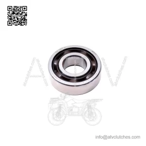 Ball Bearing 420232855